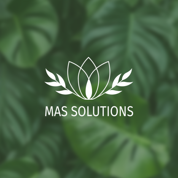 MAS SOLUTIONS